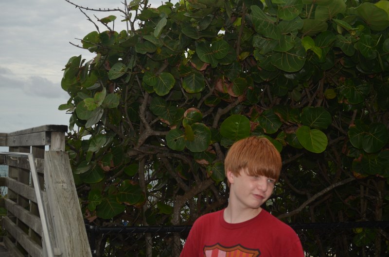 JTRG_FD_2012 (106).JPG